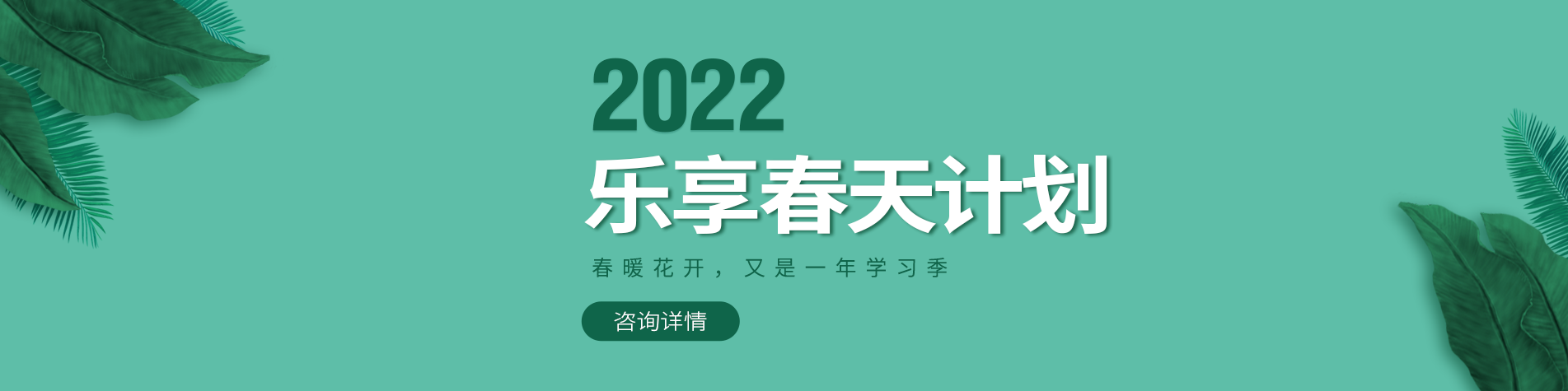 澡逼黄色网络视频